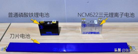 中国电动汽车百人会，比亚迪刀片电池测试中所提到的“针刺测试”是指什么？