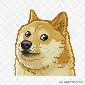 LOL使用老鼠帮野在走之后毒烫死了buff,老鼠该不该向打野道歉？