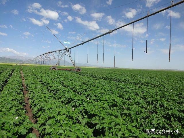 有机农业地下害虫如何处理 头条问答