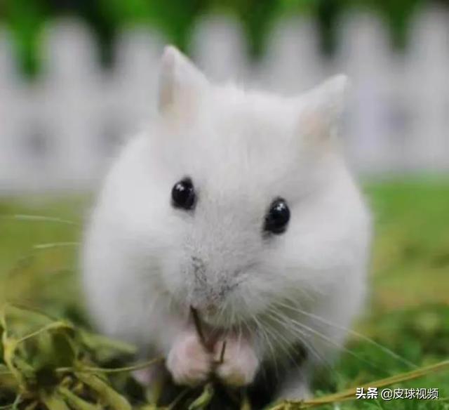 电脑挂机赚钱游戏有哪些？