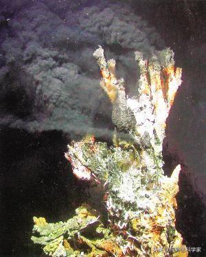 南非犰狳蜥:现实中有枪都伤害不了的生物吗