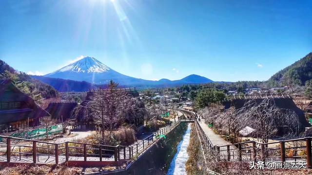 小狗被染成皮卡丘九州天空城:日本有哪些值得一去的旅游景点？