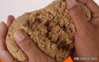 医仕高神奇颗粒:饵料状态老是调不好，求帮忙解答一下该怎么办？