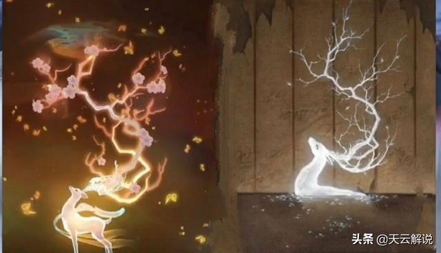瑶遇见神鹿可能下架！五虎将皮肤成重点,钻石消耗来袭,你期待吗？