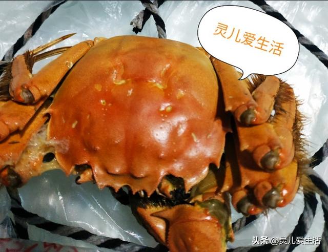 生蟹肉哪里刷:如何吃干净一只大闸蟹里的全部蟹肉？