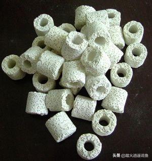 生化棉如何清洗:小鱼缸只有一块白棉，我们清洗时如何最大限度保住硝化细菌呢？