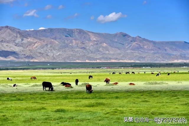 师东兵作品:你会为中国的独立制表师作品买单吗？
