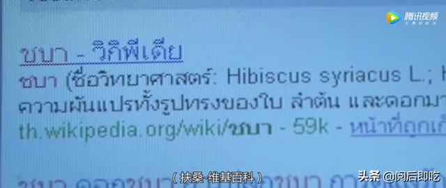报应电影:哪个国家拍的恐怖电影最恐怖？