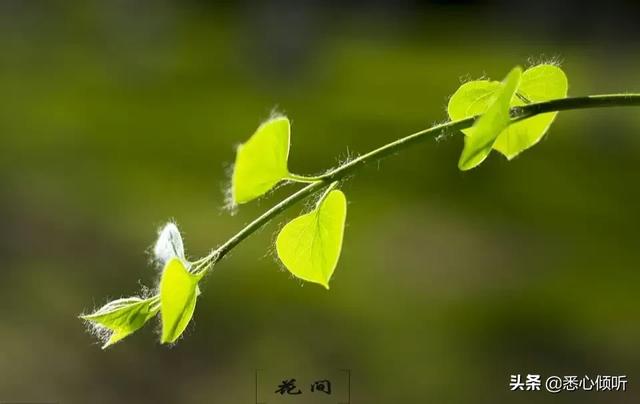 马加爵杀人现场:你认为，杭州分尸案案犯许国利从现在起到被执行死刑要多长时间