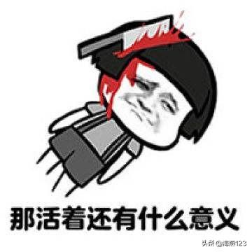人生不如意十之八九:人生不如意十之八九，那么努为活着的意义是什么
