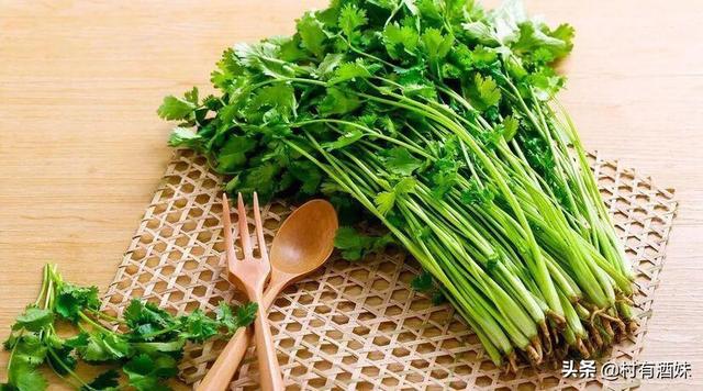 俊介君是什么品种:这株多肉是什么品种？应该怎么养？ 俊介君是什么狗种