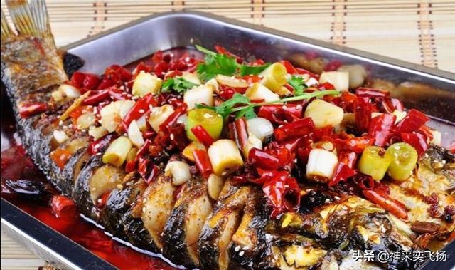 淡水鱼种类以及图片:你钓鱼最喜欢钓什么样的淡水鱼？