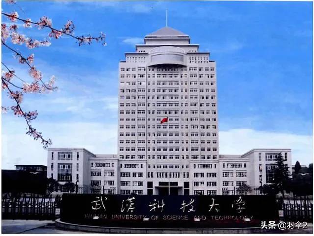 武汉985211大学有哪些,武汉除了7所985,211还有哪些比较好的大学?