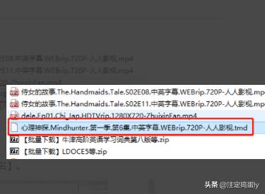 td文件怎么打开(td文件是什么)