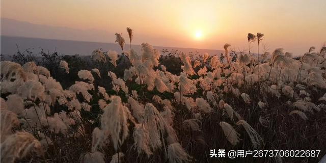 头条问答 爱拍风景的中年女性是什么心理 聪慧的用户冬天的回答 0赞