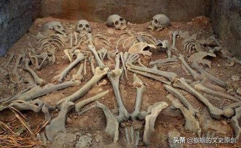 地震搜救犬全部处死是给谁陪葬:古代帝王陪葬的妃子是怎么死的？