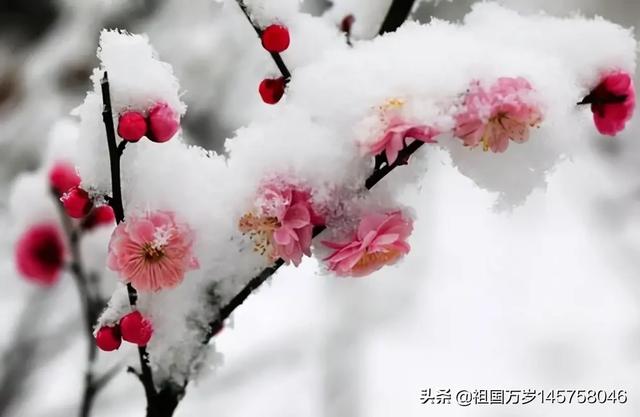 一眼看中的房子是有缘吗,你有没有看一眼就爱上的文物？