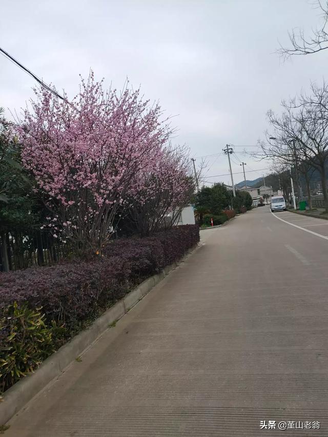 第一次做自媒体,慢慢在学习摸索,怎么让人快速关注我？