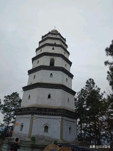 《穿过大半个中国去睡你》,脑瘫诗人余秀华的成功逆袭,给我们带来哪些启示？