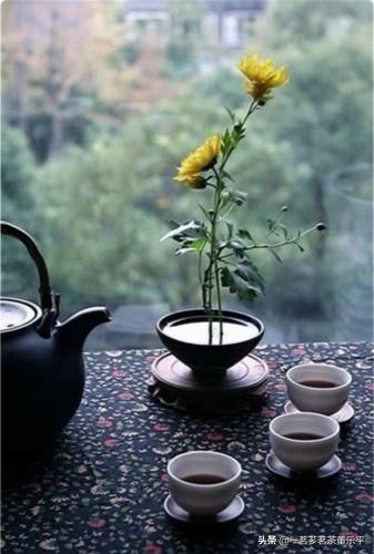武夷山什么红茶好喝？