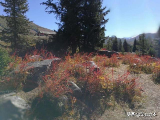 喀纳斯湖水怪抓住了:想去新疆自由行，有哪些好的景点推荐最佳旅行时间是什么时候