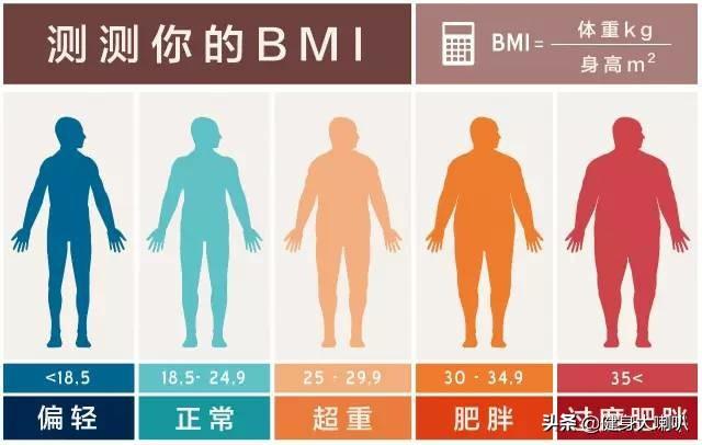 体重值18.9,体脂率30,正常吗？