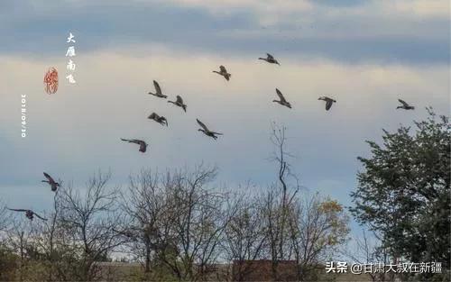 新西兰警犬试穿新款背心:农村俗语“三不问，四不吃，五不摸”何意？老祖宗的话有道理吗？ 警犬背心