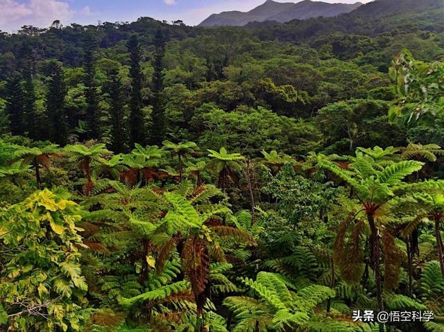 海蛇全部都是毒蛇吗，蛇、蜈蚣、海蛇的毒是如何产生的，是胎里带的吗