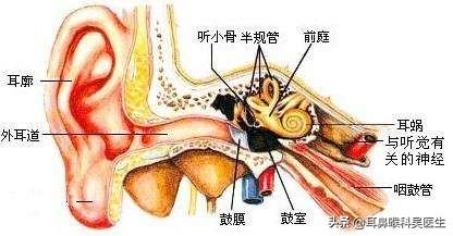 外耳炎:引起外耳道炎常见的病因有哪些？