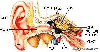 外耳炎:引起外耳道炎常见的病因有哪些？