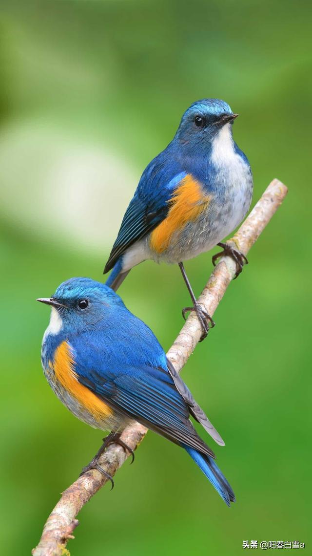 头条问答 - 你有那种自鸣得意,唯利是图,心机很重的朋友吗?(9个回答)