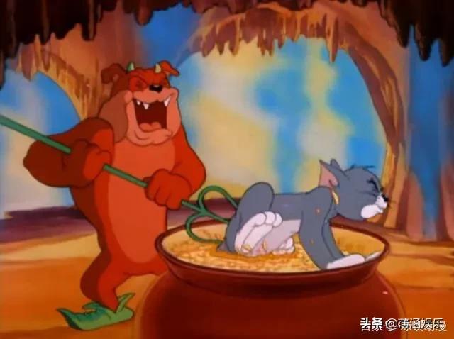 搞笑猫咪和狗狗图片:同时养一只猫和一只狗是种怎样的体验？