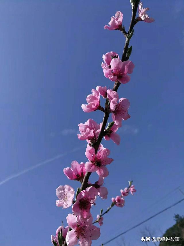 请问我的老公是谁:请问现在女孩子有男朋友和有老公区别大吗？