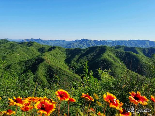 吸引眼球的图片:夏季摄影什么东西吸引人观看？