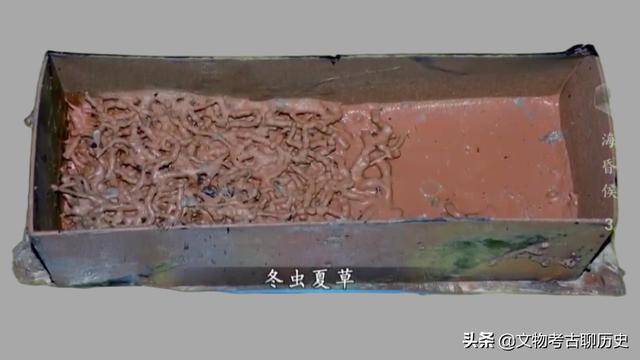 太阳鸟电影:又到一年拍鸟季，如何拍鸟？ 杨丽萍太阳鸟电影