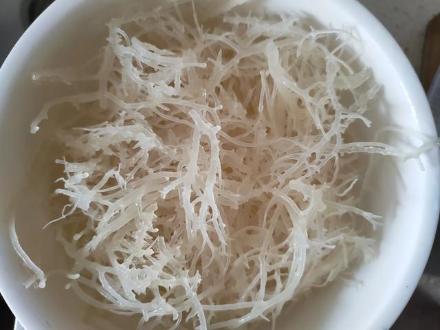 凉菜狗宝是什么东西:小时候凉拌菜里的鹿角菜现在怎么没有了？ 狗宝咸菜是什么东西啊