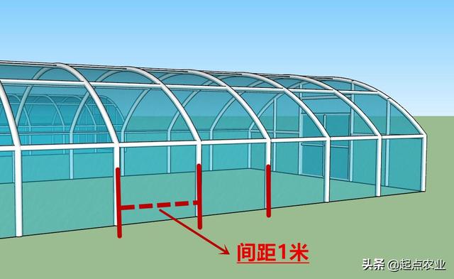 头条问答 - 蔬菜大棚设计图腿高1.5,宽8米怎么设计?(3个回答)