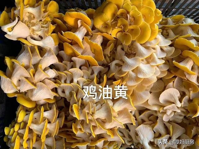 中国有什么顶级食材，国外有哪些顶级的食材能和祖国的海参、鲍鱼、燕窝、熊掌相媲美？