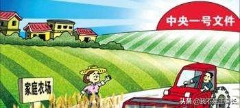 我在农村有五十亩地想建一个家庭农场,请给我一个发展思路,怎样才能盈利？靠谱吗？