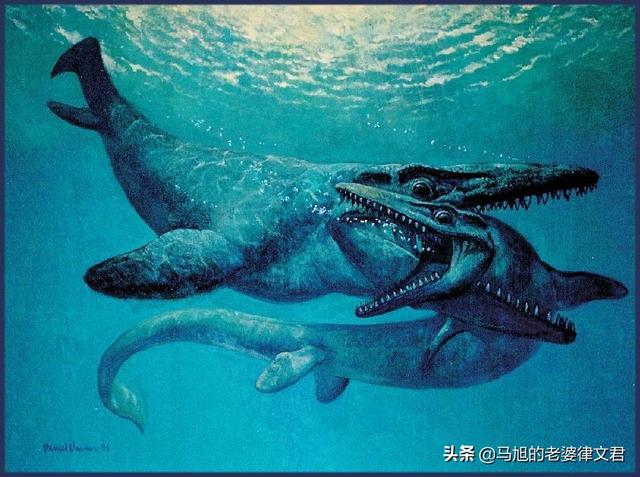 普鲁斯鳄:最强大的50种史前远古生物都是什么？