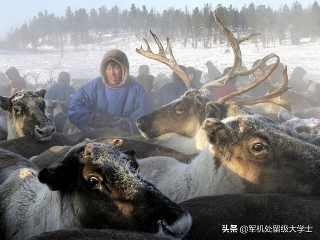 北极频现史前生物,潘多拉魔盒将要打开,这事到底有多恐怖？