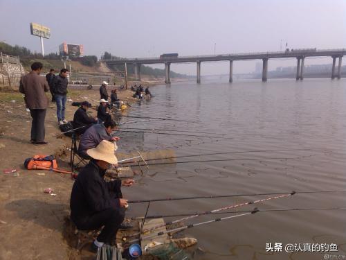 类似小猫一尾男女关系的小说:为什么感觉钓鱼会越来越上瘾？ 女主叫小猫的言情小说