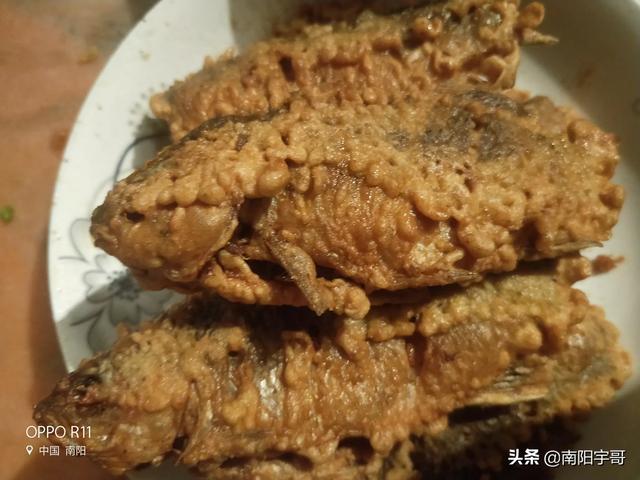 淡水虾养殖的创业故事:淡水养虾创业 养殖澳洲淡水龙虾的前景如何？