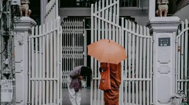灰头鹀窝图片:有什么事是你去了柬埔寨才知道的？