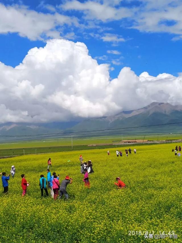 4大桃花月份：桃花几月份