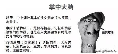 我把妈妈操得大喊大叫:妈妈经常在家里大喊大叫 快六岁的男孩打妈妈怎么办？