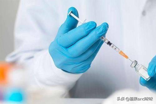 养猫指南百度文库:猫不长肉怎么办，大家都是用什么办法来解决的啊？
