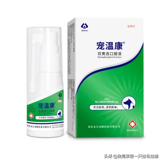 麦德氏益生菌狗狗吃了怎么样:狗狗拉稀，吃了益生菌还在拉，万能的朋友们有没有什么好的办法？