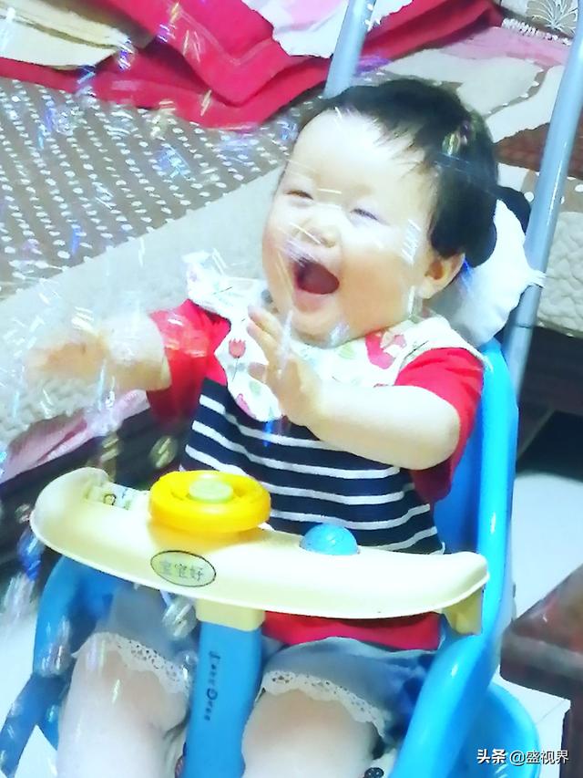 明犬作者照片:请问这张照片的优缺点在哪里？ 名犬