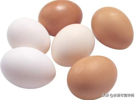 哪种蛋类营养更好，鸡蛋为什么有红皮的和白皮的，哪种营养价值高呢
